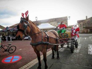 Balades en calèche pour tous vos événements
