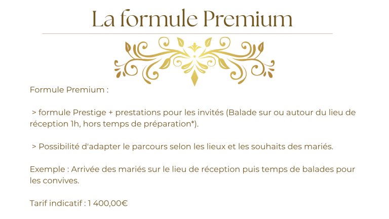 Mes autres prestations (mariage)