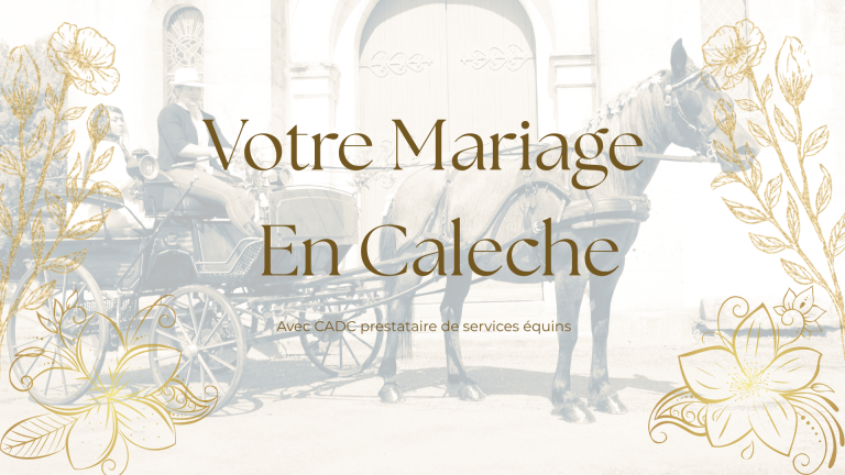 Mes autres prestations (mariage)