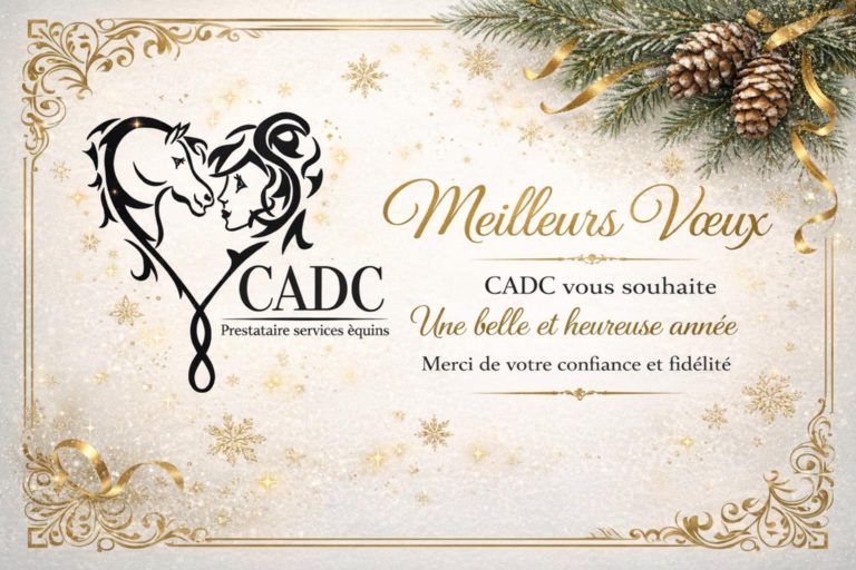 Bonne année 2026 avec CADC