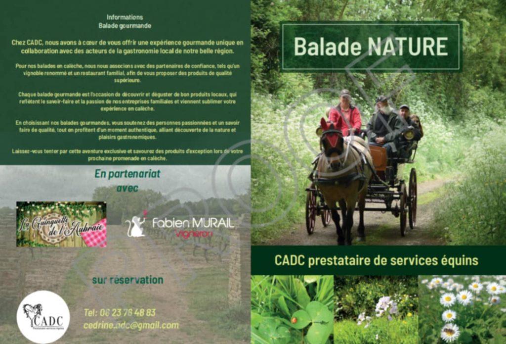 Tarifs prestations calèche